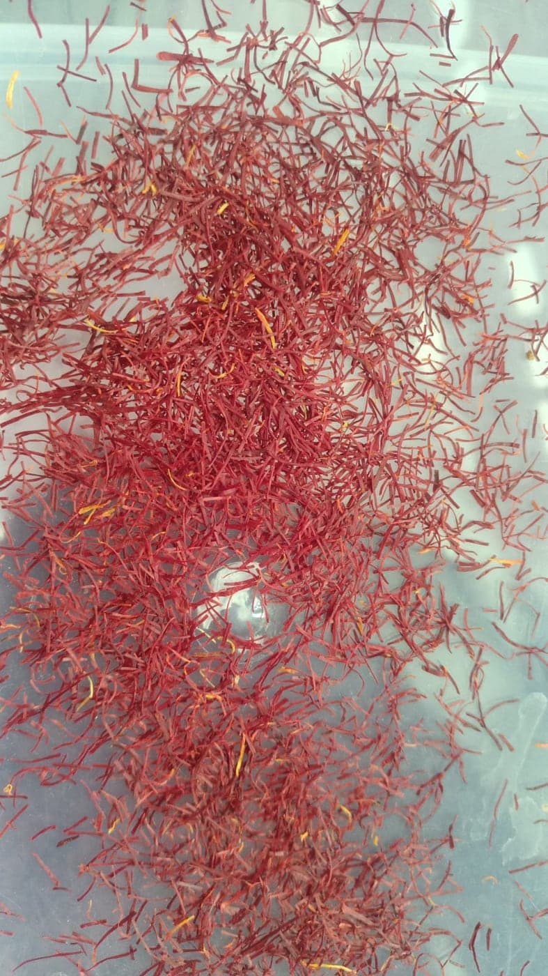 Kashmiri Saffron — Mongra, ISO 3632 Grade I — image 3