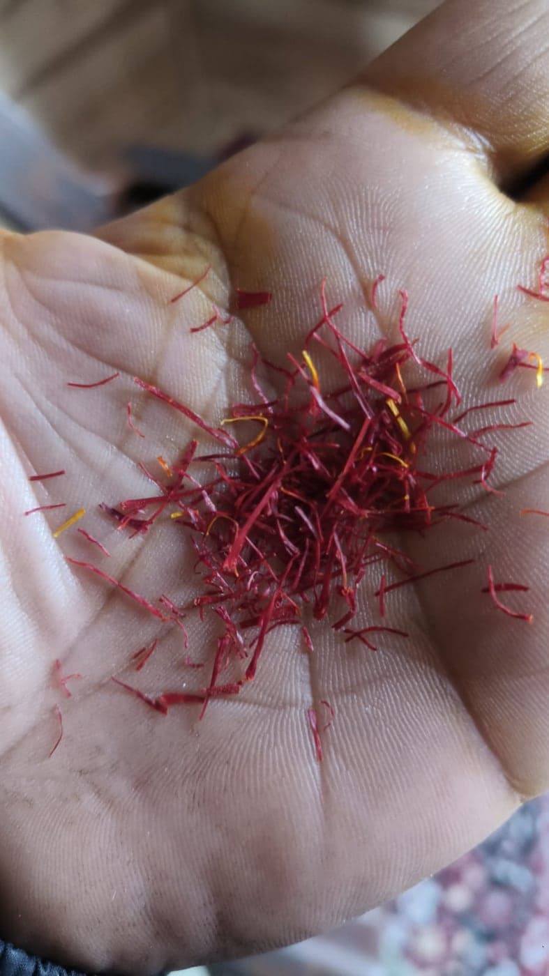 Kashmiri Saffron — Mongra, ISO 3632 Grade I — image 4