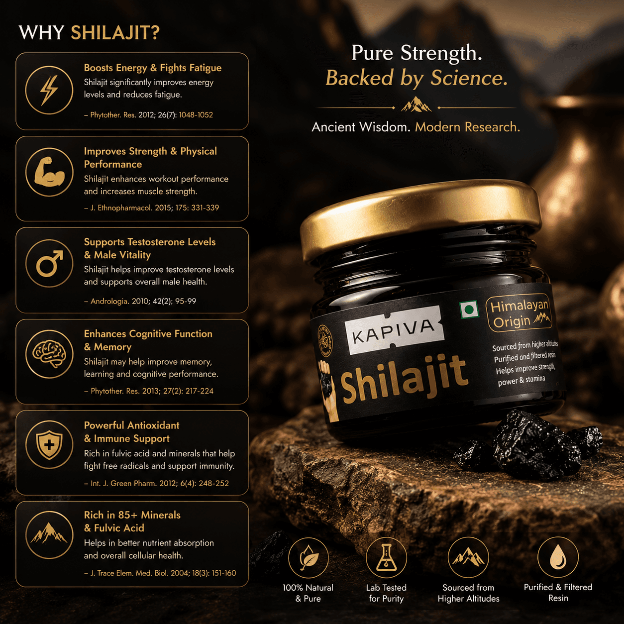 Himalayan Shilajit Resin — 20g — image 4